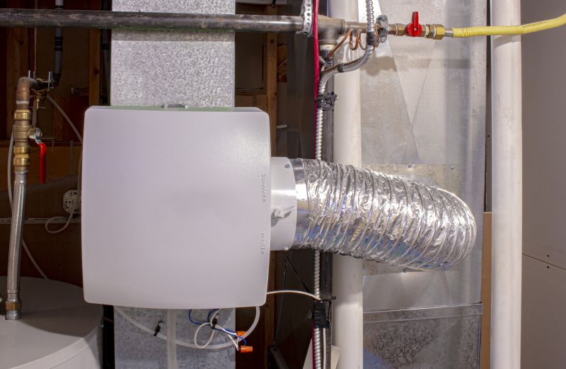 Basement Dehumidifier Service in Sarasota, FL
