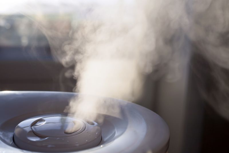 Humidifier Filter Replacement in Naples, FL
